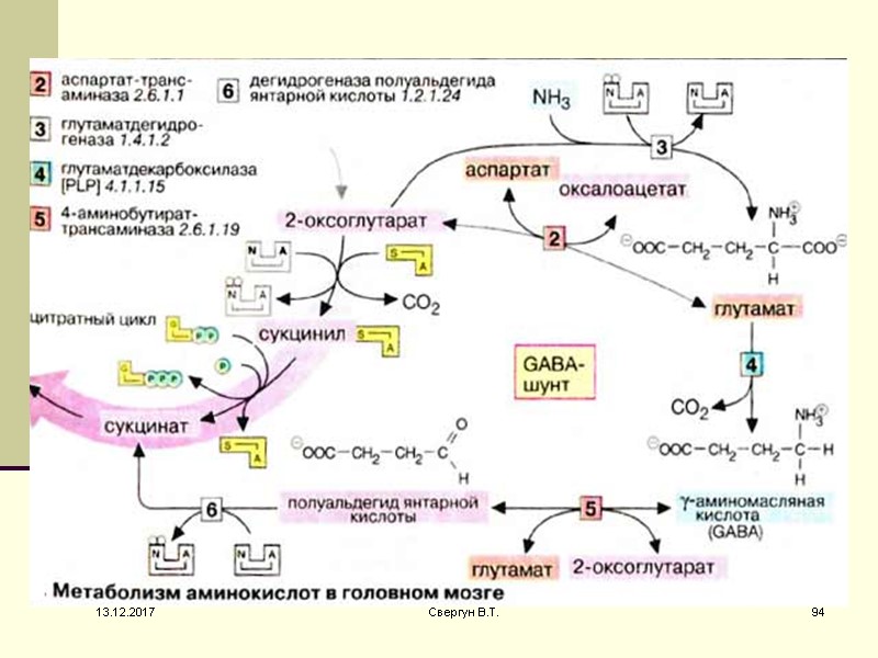 13.12.2017 94 Свергун В.Т.